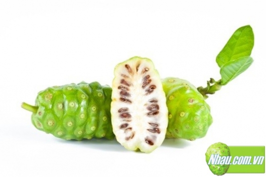 Noni - Morinda citrifolia